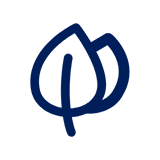 星空官方網頁版