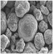 星空官方網(wǎng)頁版