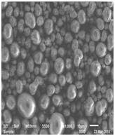 星空官方網(wǎng)頁版