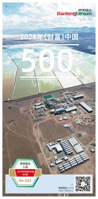 星空體育入選2024年《財富》中國500強